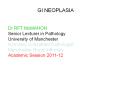 GI NEOPLASIA PowerPoint PPT Presentation