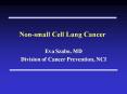Non-small Cell Lung Cancer PowerPoint PPT Presentation