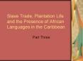 Slave Trade, Plantation Life and the Presence of African Languages in the Caribbean PowerPoint PPT Presentation
