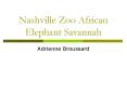 Nashville Zoo African Elephant Savannah PowerPoint PPT Presentation