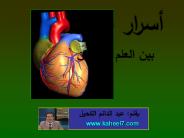 www.kaheel7.com