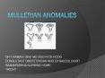 Mullerian anomalies PowerPoint PPT Presentation