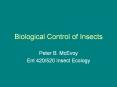 Biological Control of Insects PowerPoint PPT Presentation