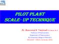 PILOT PLANT SCALE- UP TECHNIQUE PowerPoint PPT Presentation