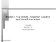 Packet 3: Real Options, Acquisition Valuation and Value Enhancement