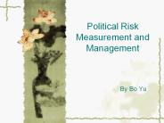 Political Risk Measurement and Management