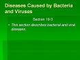 Diseases Caused by Bacteria and Viruses PowerPoint PPT Presentation
