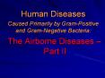 Human Diseases PowerPoint PPT Presentation