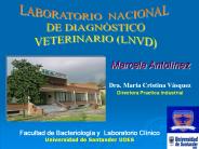 Diapositiva 1