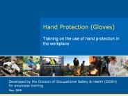Hand Protection (Gloves)
