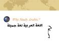 Why Study Arabic? PowerPoint PPT Presentation
