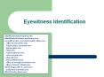 Eyewitness Identification PowerPoint PPT Presentation