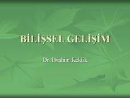 BILISSEL GELISIM