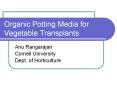 Organic Potting Media for Vegetable Transplants PowerPoint PPT Presentation