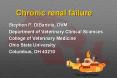 Chronic renal failure PowerPoint PPT Presentation