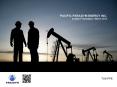 PACIFIC PARADYM ENERGY INC. Investor Presentation / March 2012 PowerPoint PPT Presentation