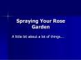 Spraying Your Rose Garden A little bit about a lot of PowerPoint PPT Presentation