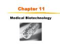 Medical Biotechnology PowerPoint PPT Presentation
