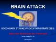 Can We prevent a stroke PowerPoint PPT Presentation
