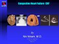 Congestive Heart Failure CHF SUGAR LAND HEART CENTER By Nik PowerPoint PPT Presentation