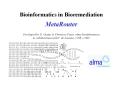 Bioinformatics in Bioremediation MetaRouter Developed by D PowerPoint PPT Presentation