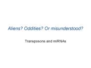 Aliens? Oddities? Or misunderstood?