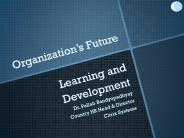 Organization’s Future Learning and Development