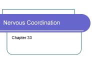 Nervous Coordination