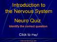 Introduction to the Nervous System: Quiz Game PowerPoint PPT Presentation