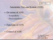 Autonomic Nervous System (ANS)