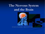 The Nervous System and the Brain