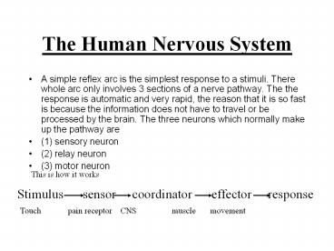 The Human Nervous System