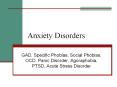 Anxiety Disorders GAD, Specific Phobias, Social Phobias PowerPoint PPT Presentation