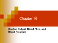 Cardiac Output, Blood Flow, and Blood Pressure PowerPoint PPT Presentation