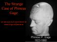 The Strange Case of Phineas Gage PowerPoint PPT Presentation