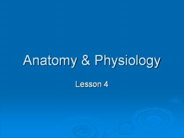 Anatomy presentation | free to download