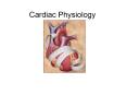 Cardiac Physiology PowerPoint PPT Presentation