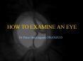 HOW TO EXAMINE AN EYE Dr Peter Beckingsale FRANZCO PowerPoint PPT Presentation