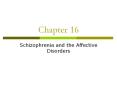 Schizophrenia and the Affective Disorders PowerPoint PPT Presentation