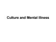 Culture and Mental Illness PowerPoint PPT Presentation