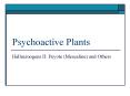 Psychoactive Plants PowerPoint PPT Presentation