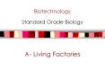 Biotechnology PowerPoint PPT Presentation