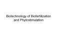 Biotechnology of Biofertilization and Phytostimulation PowerPoint PPT Presentation