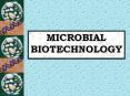 MICROBIAL BIOTECHNOLOGY Microbial Biotechnology in the PowerPoint PPT Presentation