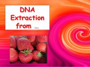 DNA Extraction from …