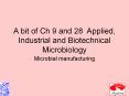 A bit of Ch 9 and 28 Applied, Industrial and Biotechnical Microbiology PowerPoint PPT Presentation