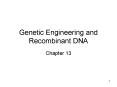 Genetic Engineering and Recombinant DNA PowerPoint PPT Presentation
