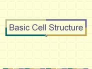Basic Cell Structure