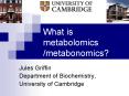What is metabolomics /metabonomics? PowerPoint PPT Presentation