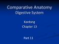 Comparative Anatomy Digestive System PowerPoint PPT Presentation